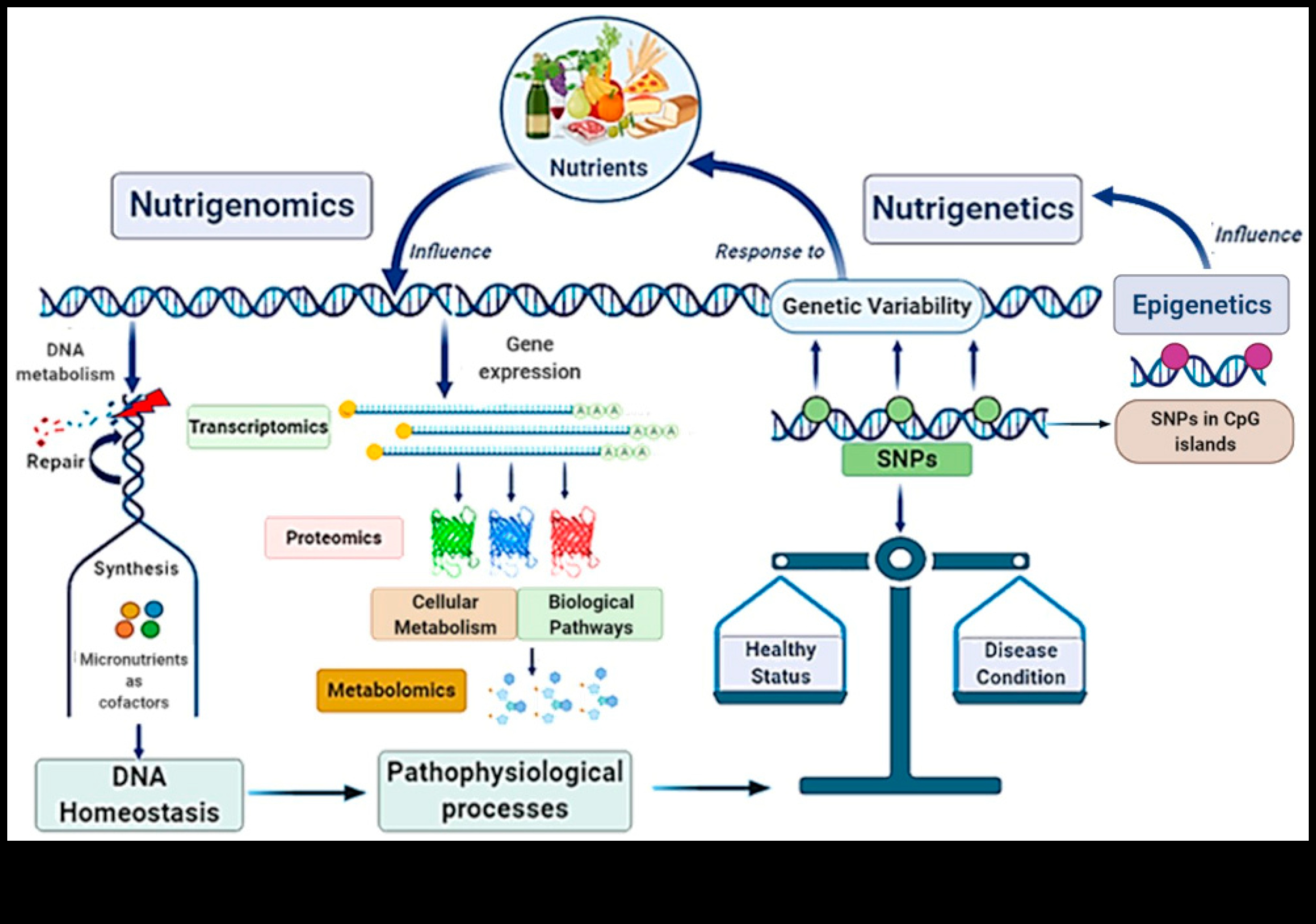 Gēnu diēta: dziļa niršana nutrigenomikā