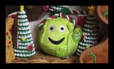 DIY dāvanas dzīvnieku mīļotājiem: uz mājdzīvniekiem orientētas dāvanas