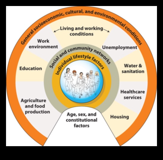 Veselīgu paradumu veidošana: sabiedrības veselības uzturs darbībā