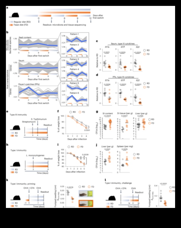 Vai īstermiņa diētas ir piemērotas cilvēkiem ar hroniskām slimībām?