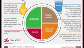 Uztura ietekmes maksimāla palielināšana: veselīgāka uztura izstrāde