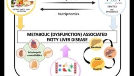 Gēnu diēta: dziļa niršana nutrigenomikā