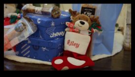 DIY dāvanas dzīvnieku mīļotājiem: uz mājdzīvniekiem orientētas dāvanas