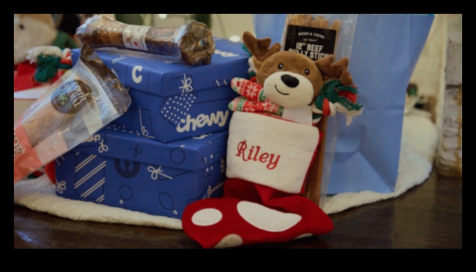 DIY dāvanas dzīvnieku mīļotājiem: uz mājdzīvniekiem orientētas dāvanas