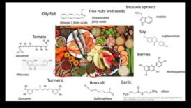 Molekulārās ēdienkartes meistarība: veselības veidošana, izmantojot uztura bioķīmiju