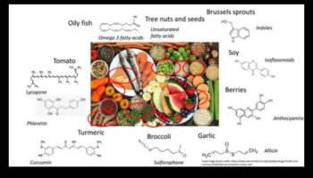 Molekulārās ēdienkartes meistarība: veselības veidošana, izmantojot uztura bioķīmiju